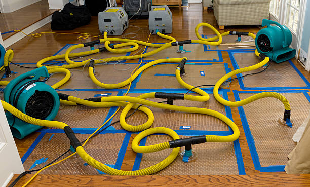 Professional Burst Pipe Water Damage technician working in Claremont, MN